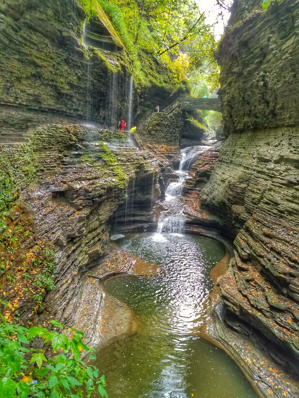 Discover Hidden Gems: A Back Yard Wanderer’s Guide to Uncovering Local Travel&nbsp;Destinations